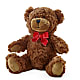 Adorable Plush Bear – My Dream Flowers, Bronx NY