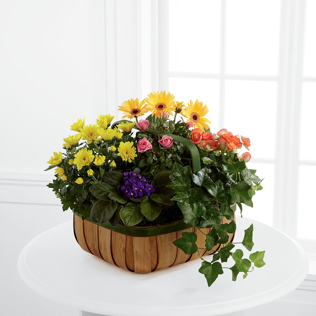Gentle Blossoms Basket – My Dream Flowers, Bronx NY