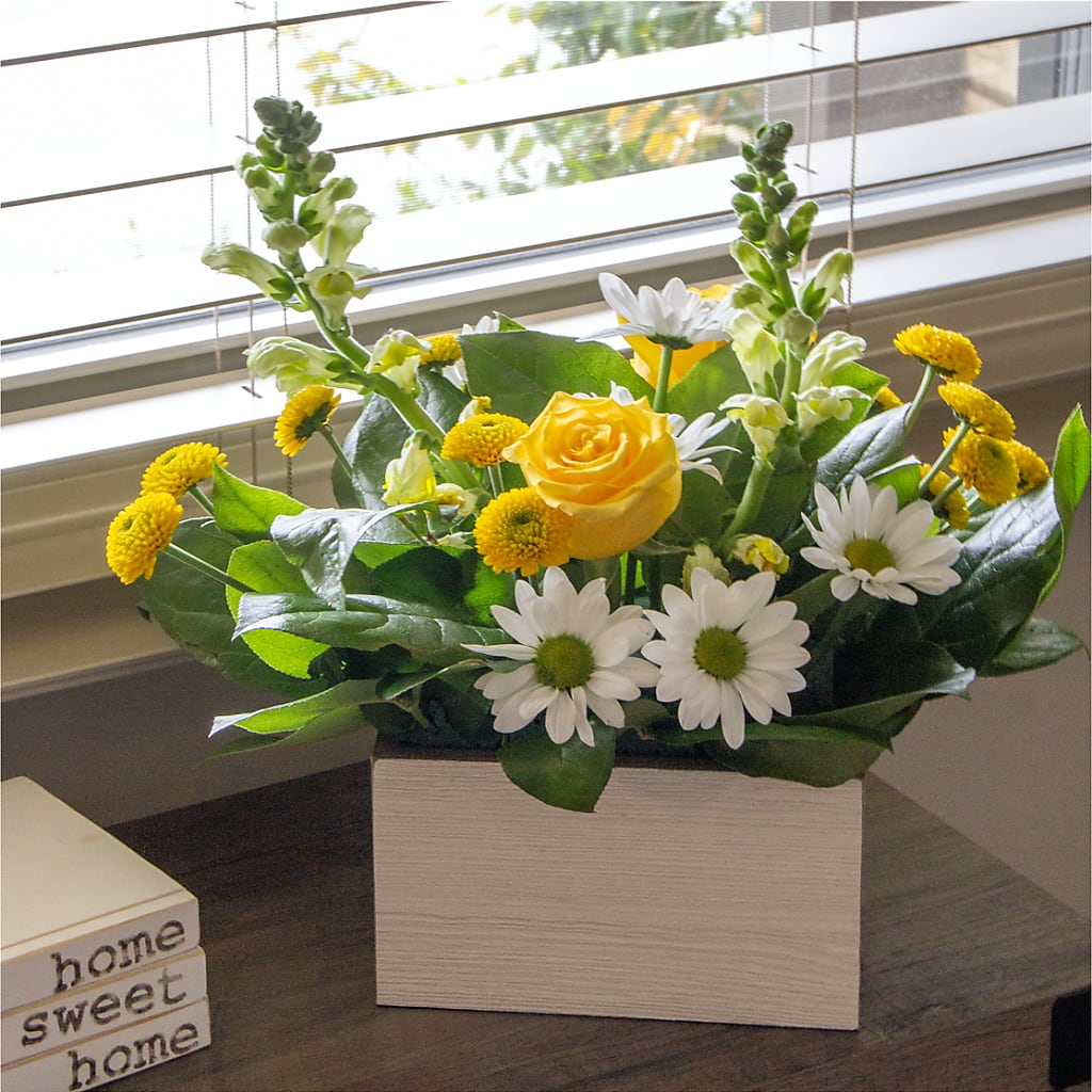 Sun Salutation Box Bouquet – My Dream Flowers, Bronx NY