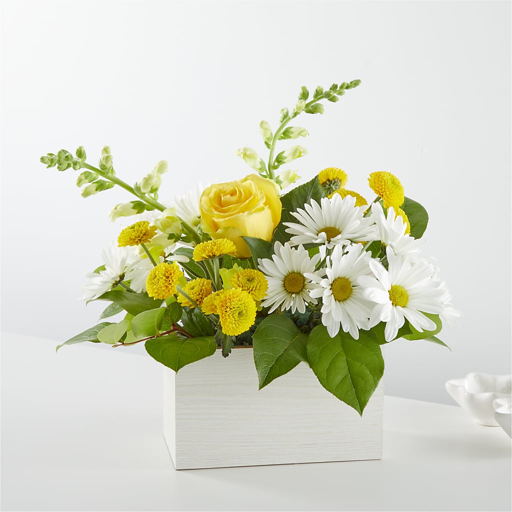 Sun Salutation Box Bouquet – My Dream Flowers, Bronx NY