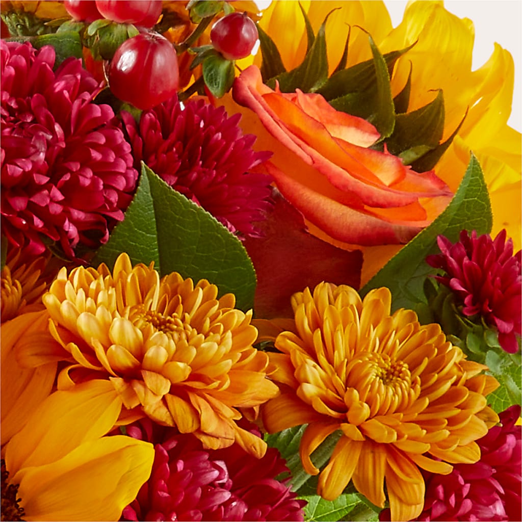 Sweater Season - A Florist Original – My Dream Flowers, Bronx NY