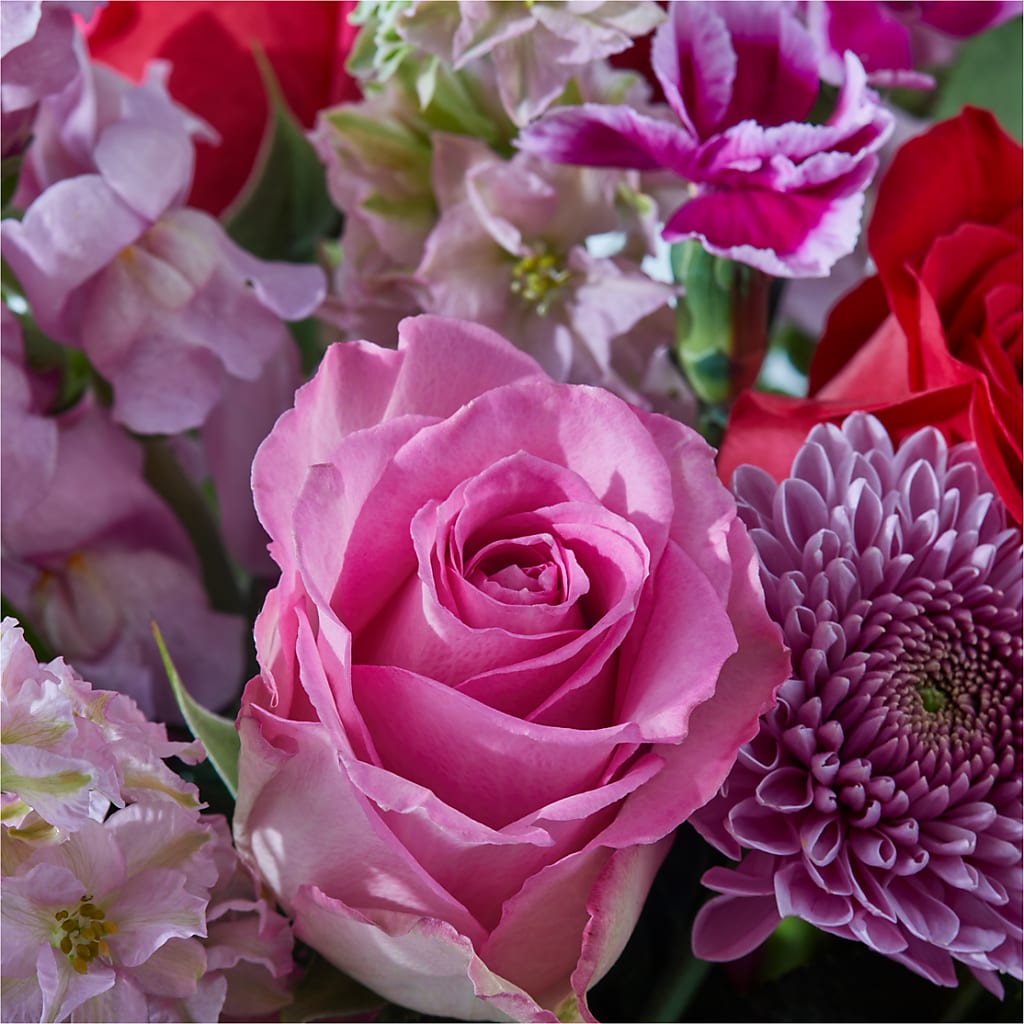 Better Together - A Luxury Florist Original – My Dream Flowers, Bronx NY