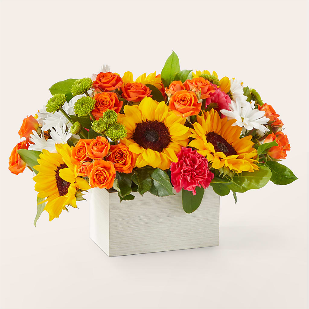 Sun-drenched Blooms Box Bouquet – My Dream Flowers, Bronx NY