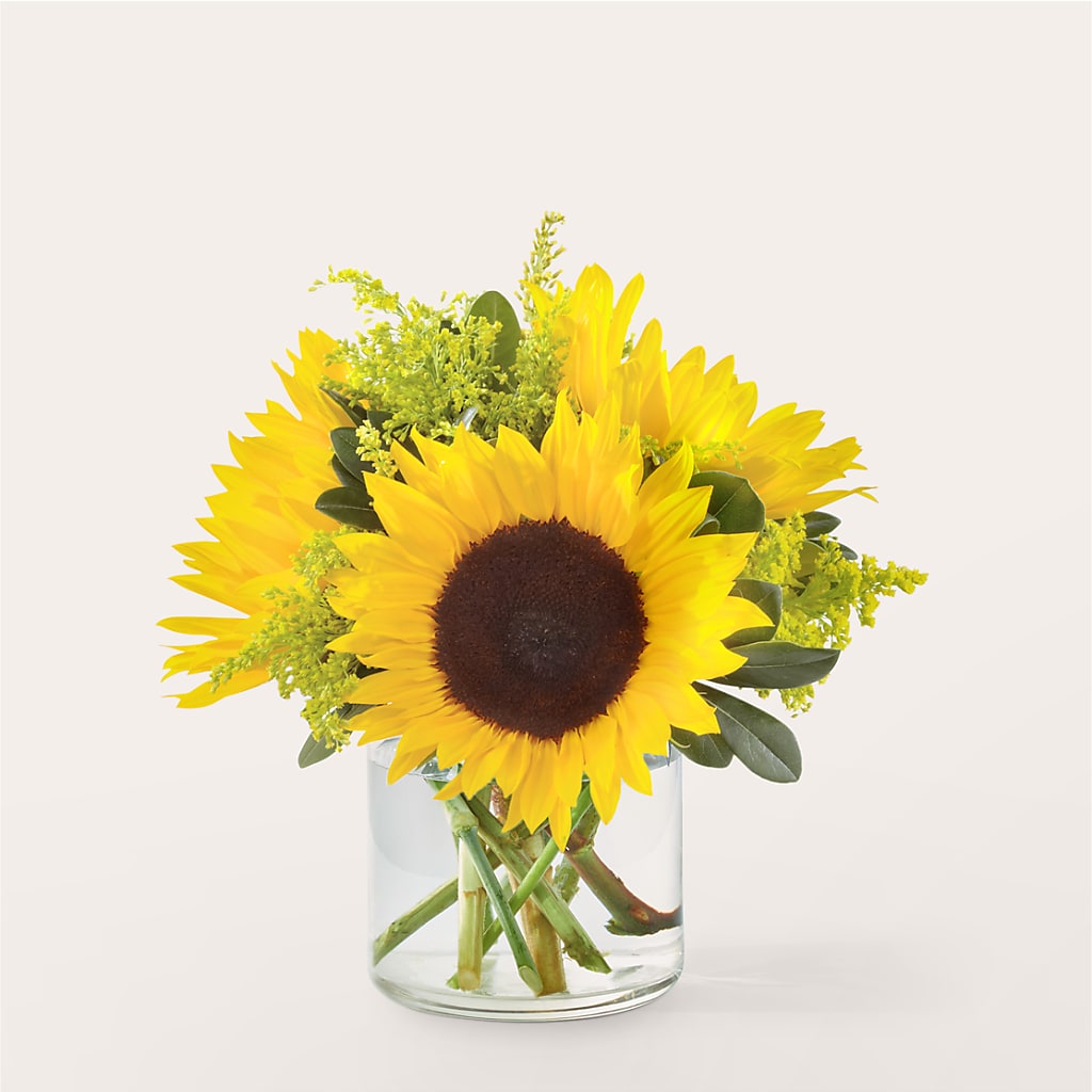 Beaming Sunflower Bouquet – My Dream Flowers, Bronx NY