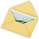 Greeting Card – My Dream Flowers, Bronx NY