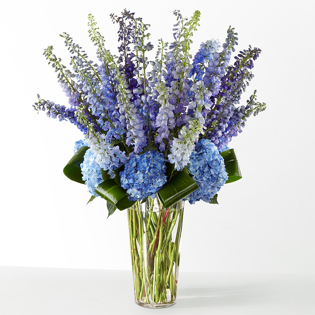 The Editorial – My Dream Flowers, Bronx NY