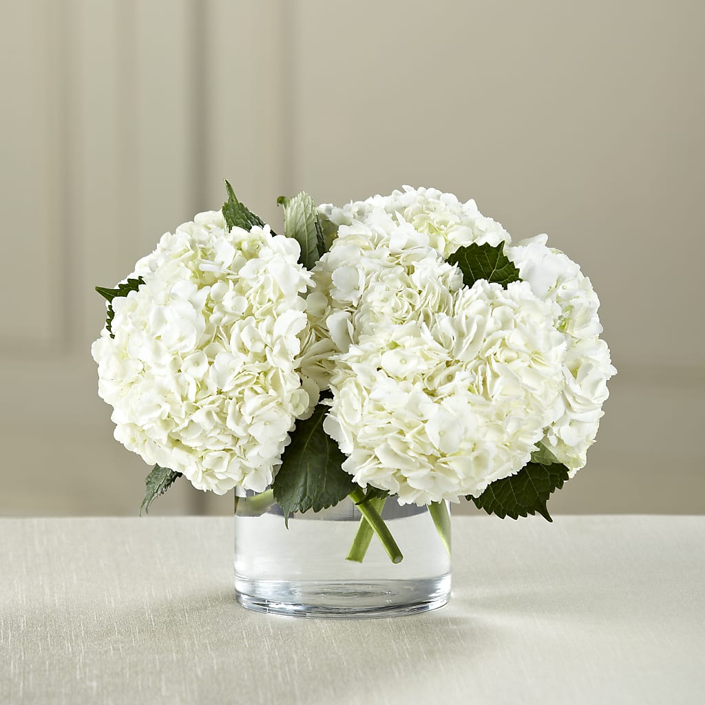 White Hydrangea Bouquet – My Dream Flowers, Bronx NY