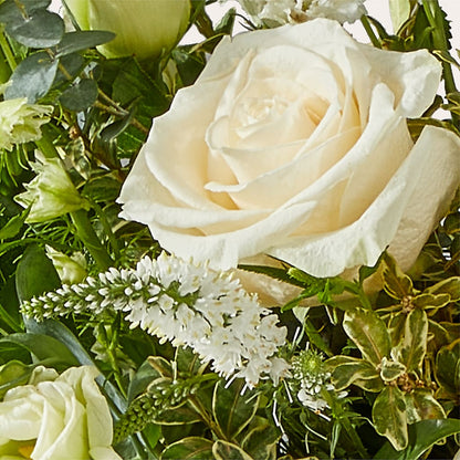 Cashmere Bouquet –  My Dream Flowers, Bronx NY