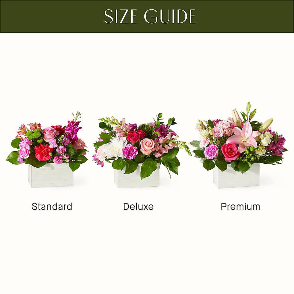 Sweetberry Box – A Florist Original –  My Dream Flowers, Bronx NY