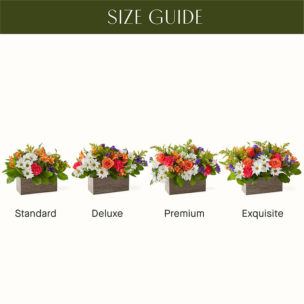 Oopsie Daisy Box Bouquet –  My Dream Flowers, Bronx NY