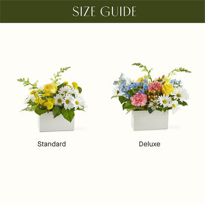 Sun Salutation Box Bouquet –  My Dream Flowers, Bronx NY