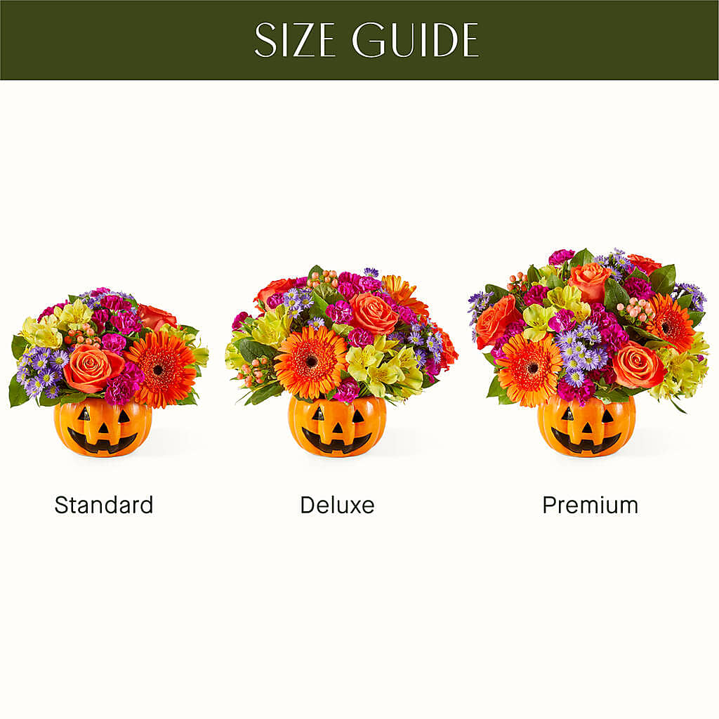 Tricks & Treats Pumpkin –  My Dream Flowers, Bronx NY