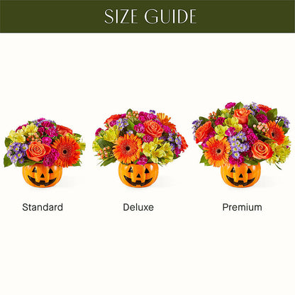 Tricks & Treats Pumpkin –  My Dream Flowers, Bronx NY