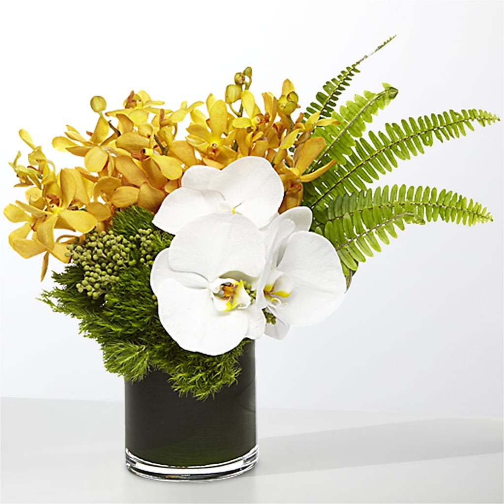 The Tropics –  My Dream Flowers, Bronx NY