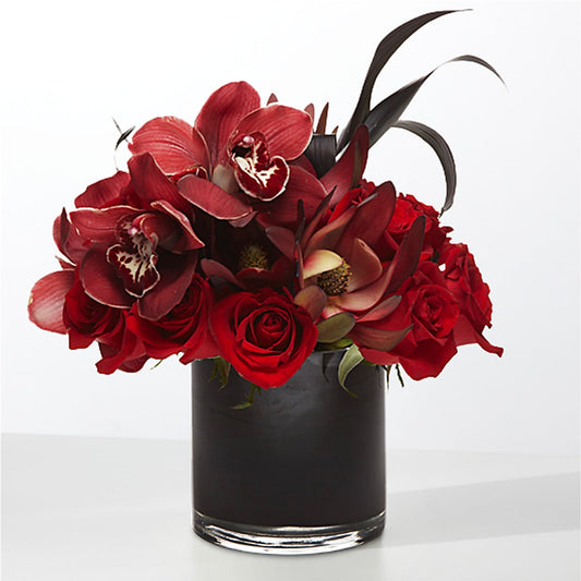 The Eclipse –  My Dream Flowers, Bronx NY
