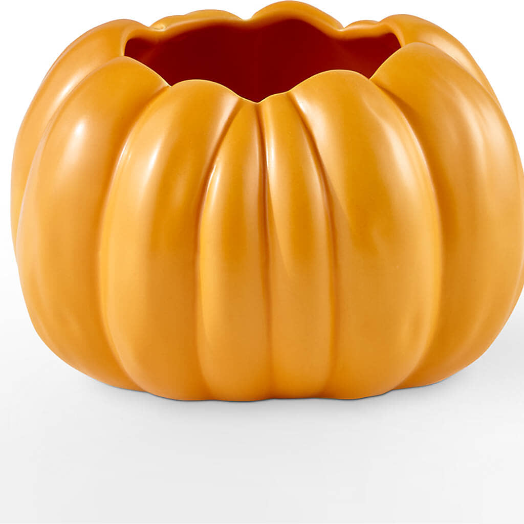Golden Gourd Pumpkin Bouquet –  My Dream Flowers, Bronx NY