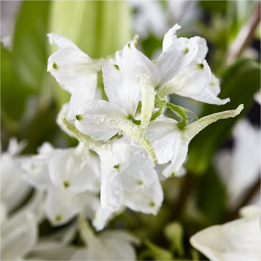 Classic Ivory – A Florist Original –  My Dream Flowers, Bronx NY