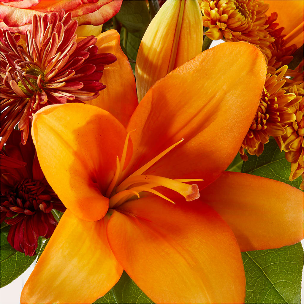 Autumnal Aroma Bouquet –  My Dream Flowers, Bronx NY
