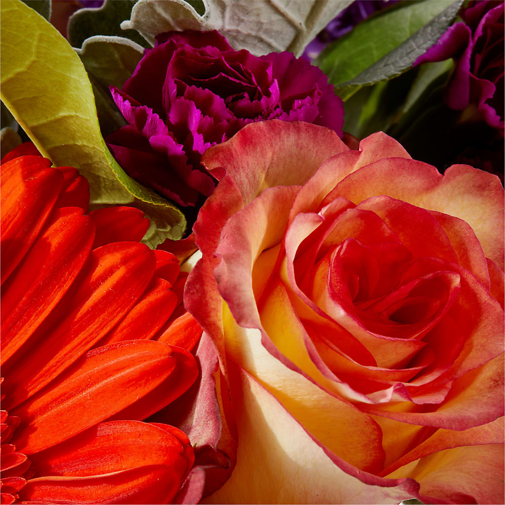 Sangria Bouquet –  My Dream Flowers, Bronx NY
