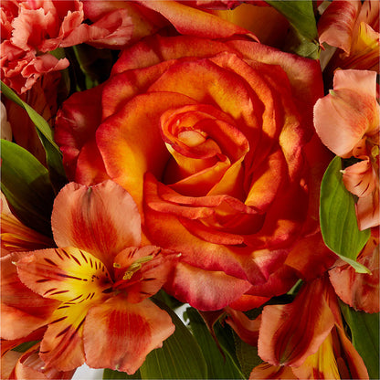 Apricot Glow Bouquet –  My Dream Flowers, Bronx NY