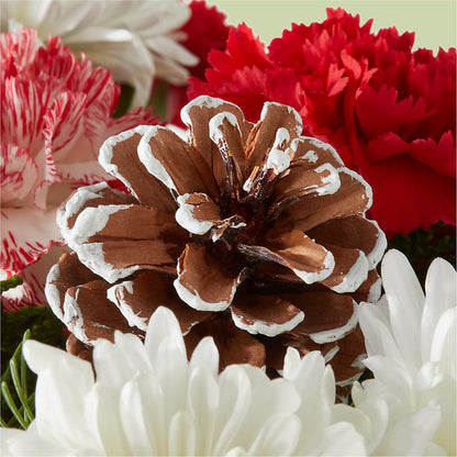 Candy Cane Lane Bouquet –  My Dream Flowers, Bronx NY