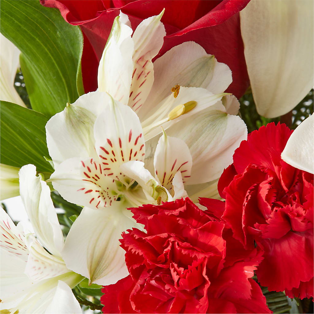 Holiday Season Bouquet –  My Dream Flowers, Bronx NY
