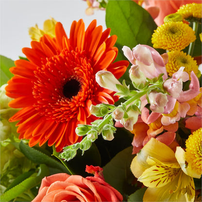 Autumn Sunshine Bouquet –  My Dream Flowers, Bronx NY