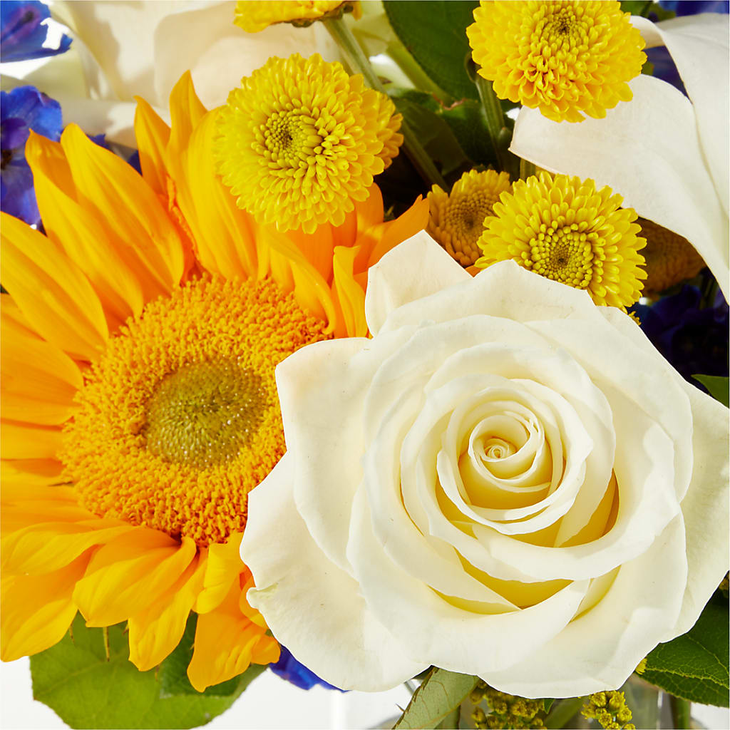 Stargazing Bouquet –  My Dream Flowers, Bronx NY