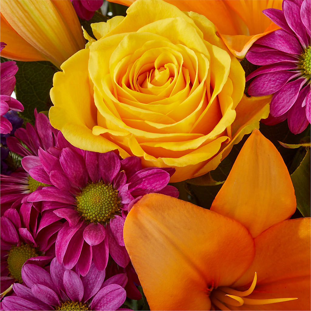 Colorful Visions Bouquet –  My Dream Flowers, Bronx NY