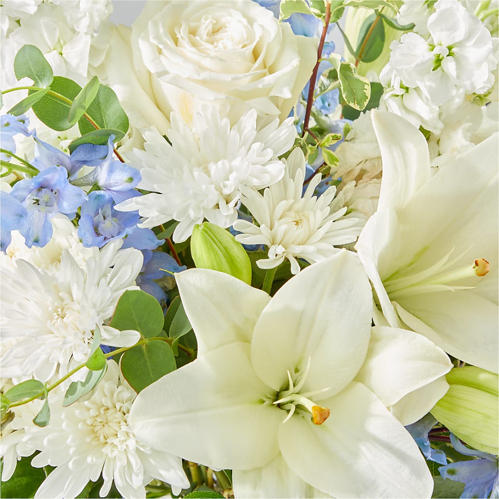 Peace of Mind Bouquet –  My Dream Flowers, Bronx NY