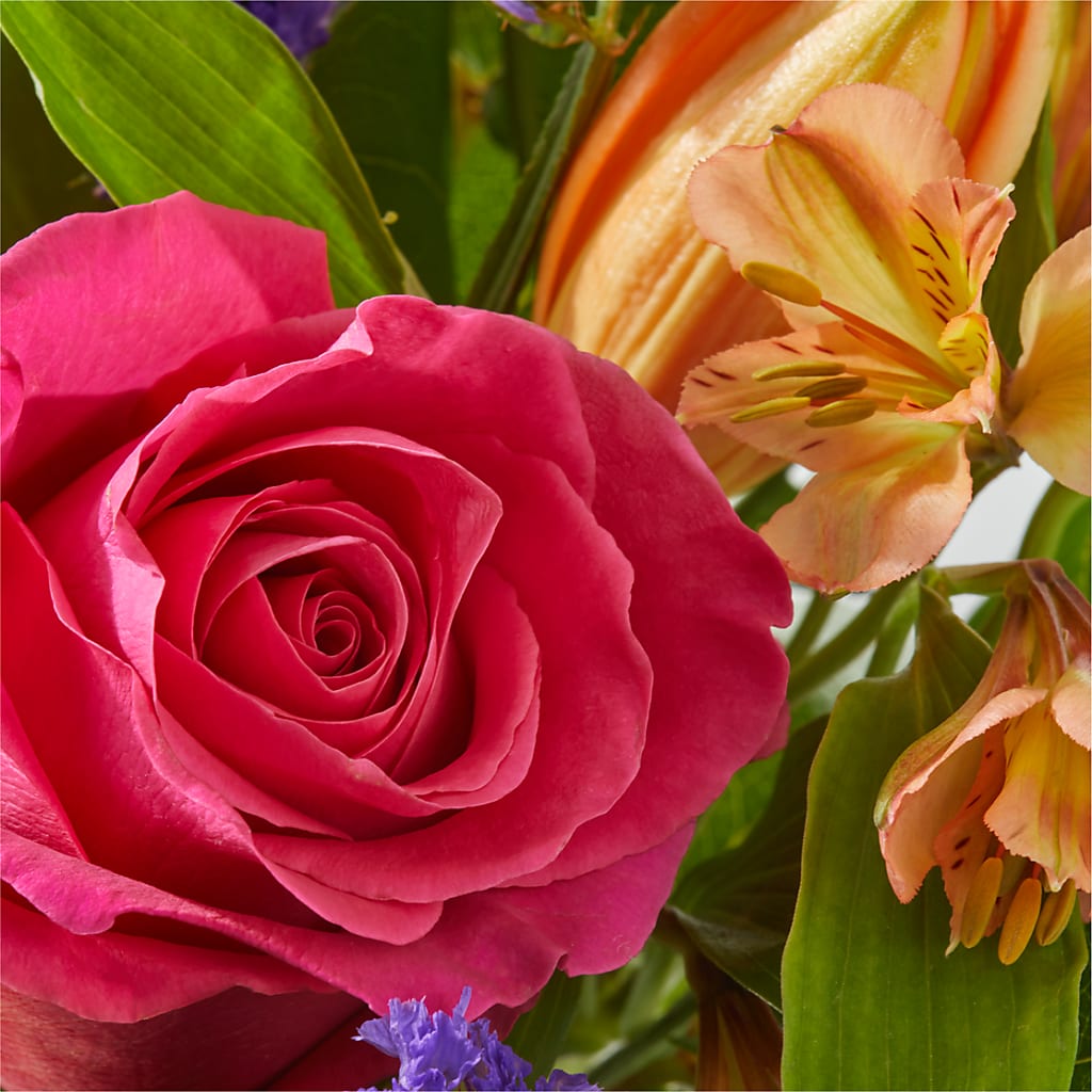Joyful Bouquet –  My Dream Flowers, Bronx NY