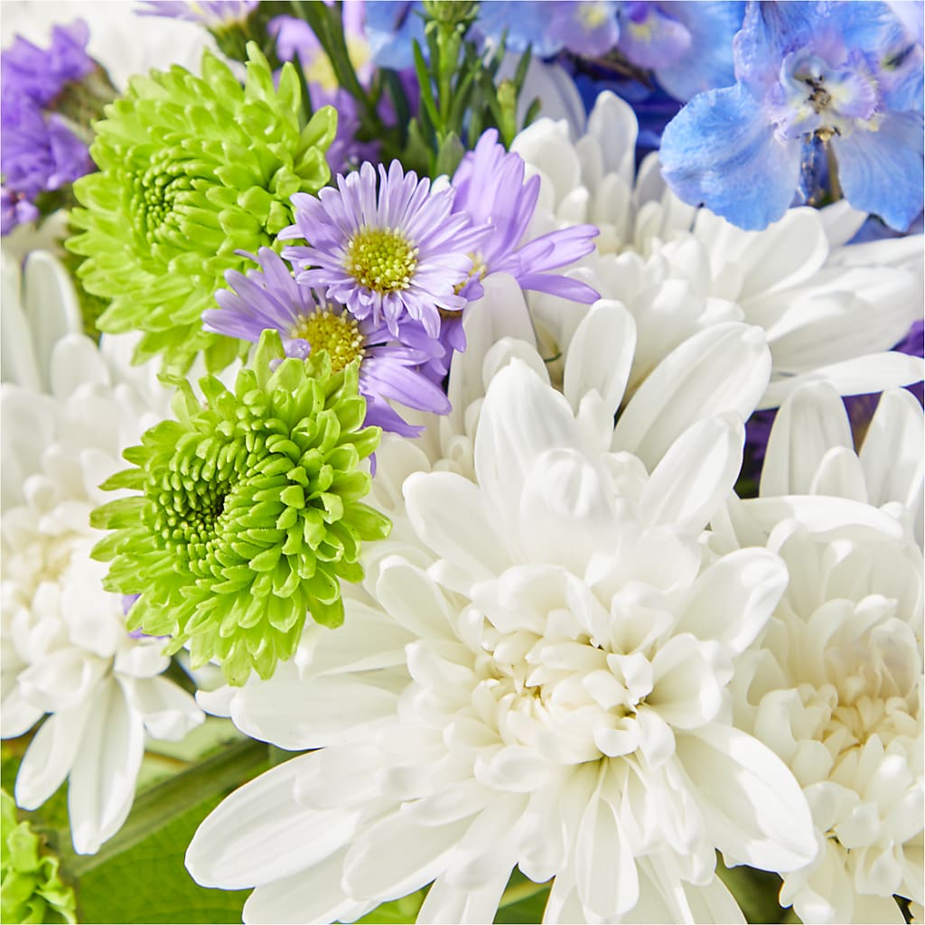 Genuine Gestures Bouquet –  My Dream Flowers, Bronx NY