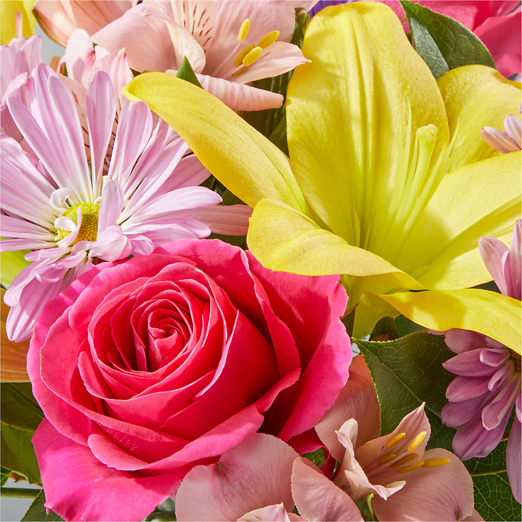 Sprinkles Bouquet –  My Dream Flowers, Bronx NY