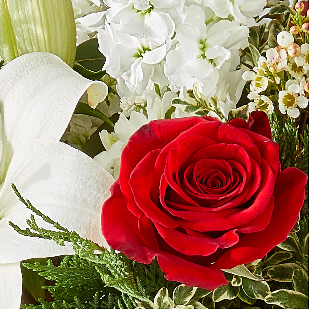 Twinkle Lights Bouquet –  My Dream Flowers, Bronx NY