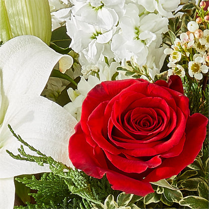 Twinkle Lights Bouquet –  My Dream Flowers, Bronx NY
