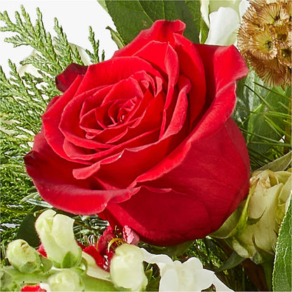 Deck the Halls Bouquet –  My Dream Flowers, Bronx NY