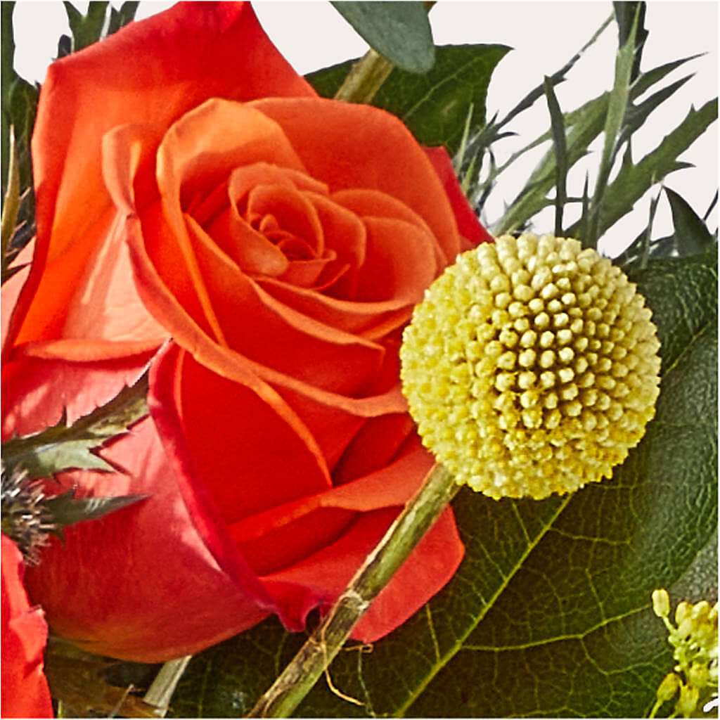 Disco Bouquet –  My Dream Flowers, Bronx NY