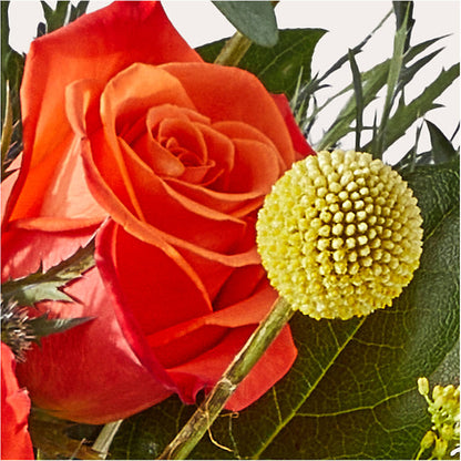 Disco Bouquet –  My Dream Flowers, Bronx NY
