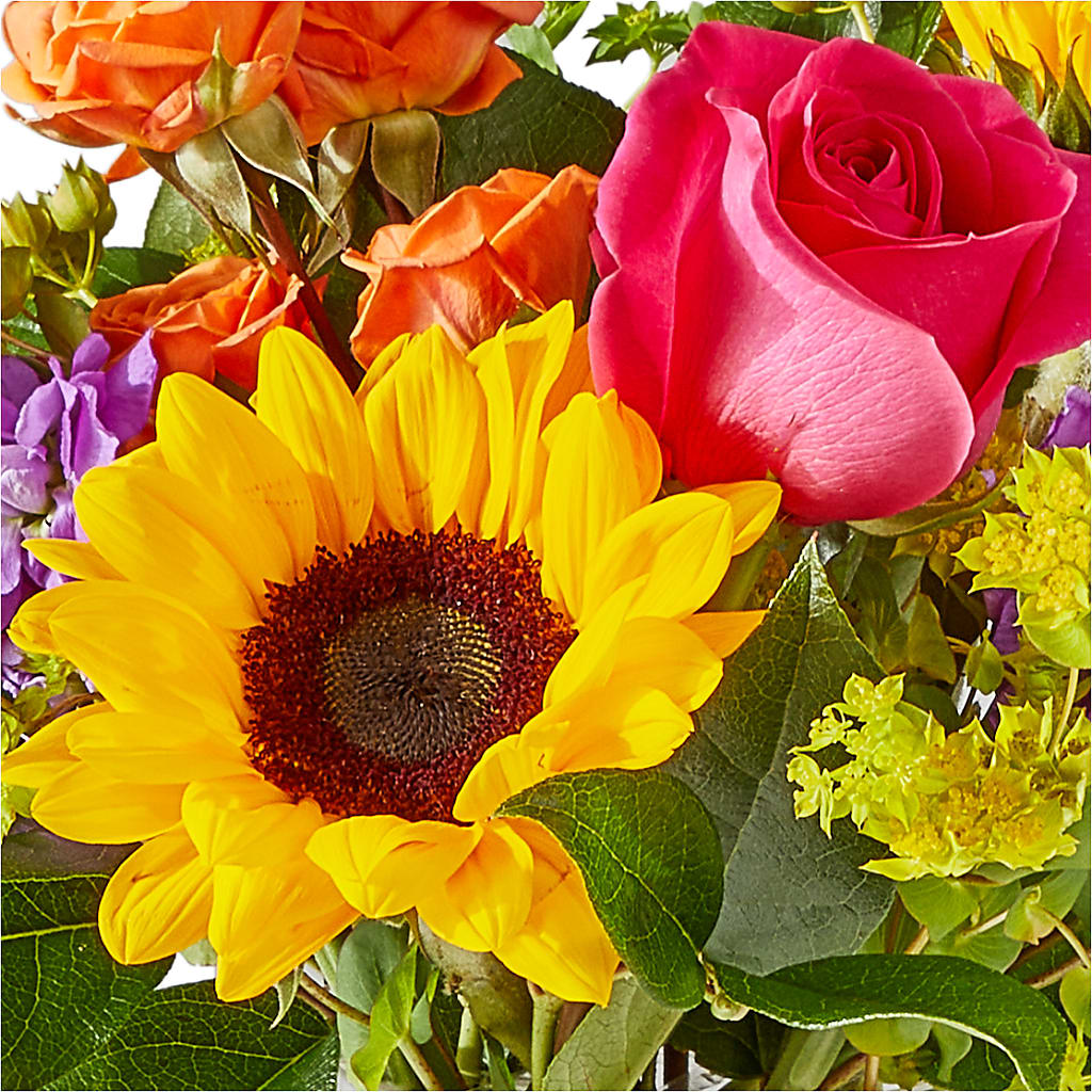 Vibrant Greetings Bouquet –  My Dream Flowers, Bronx NY