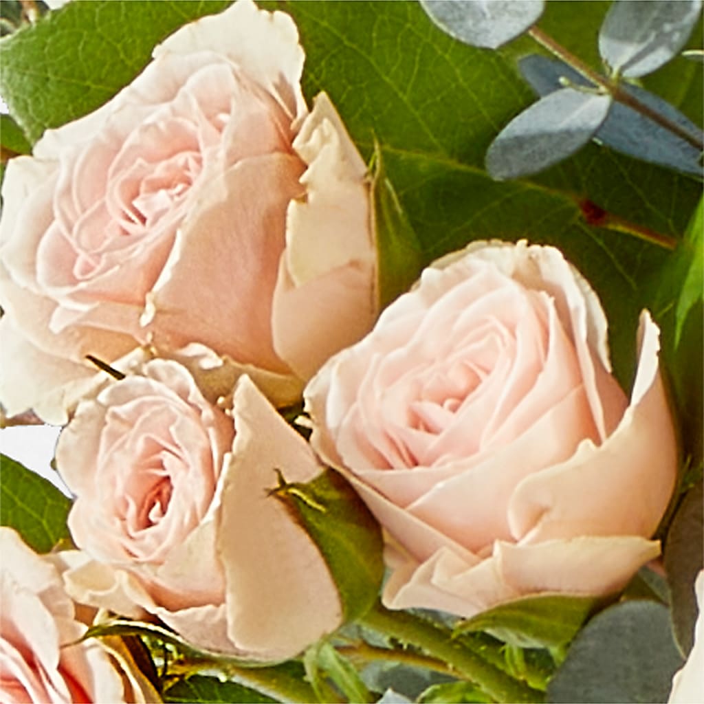 Inspired Bouquet –  My Dream Flowers, Bronx NY