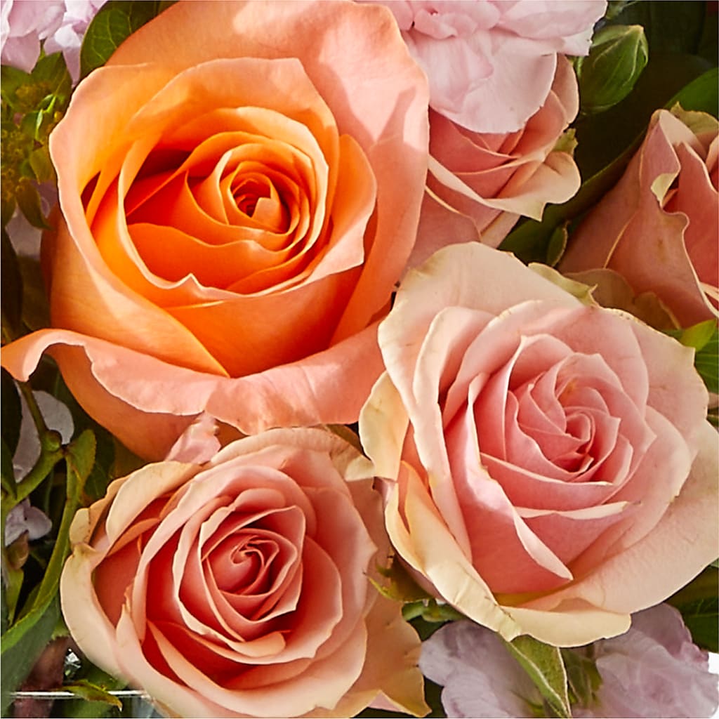 French Market Bouquet –  My Dream Flowers, Bronx NY