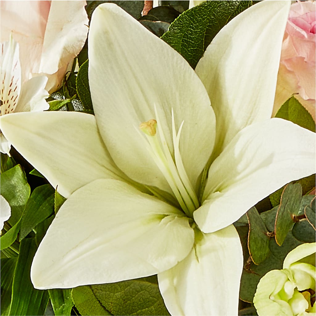 Ballet Slippers Bouquet –  My Dream Flowers, Bronx NY