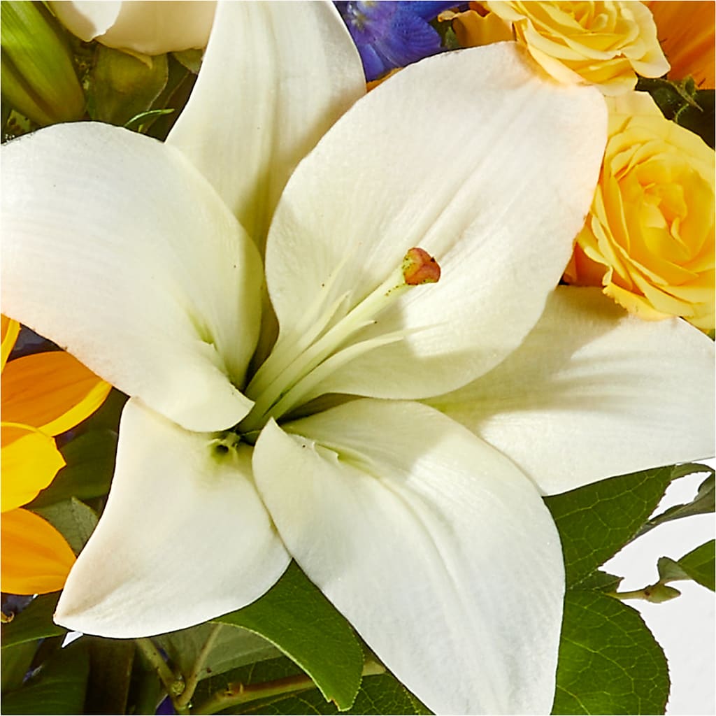 Wonderfully Sunny Bouquet –  My Dream Flowers, Bronx NY