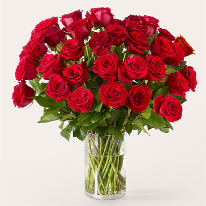 The One Red Rose Bouquet –  My Dream Flowers, Bronx NY