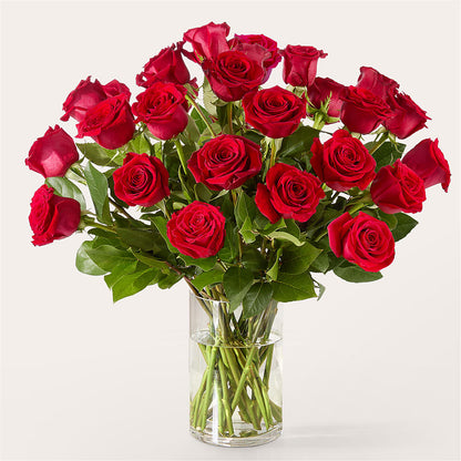 The One Red Rose Bouquet –  My Dream Flowers, Bronx NY