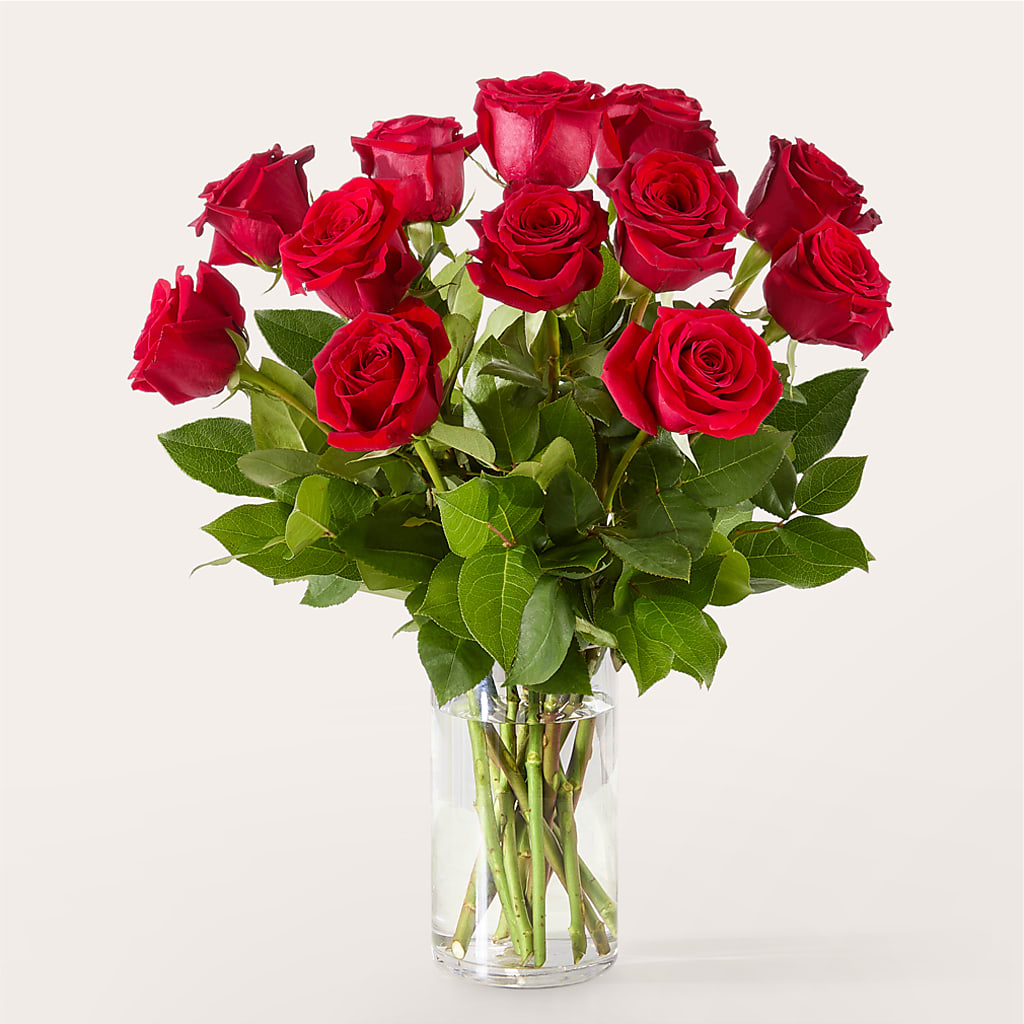 The One Red Rose Bouquet –  My Dream Flowers, Bronx NY