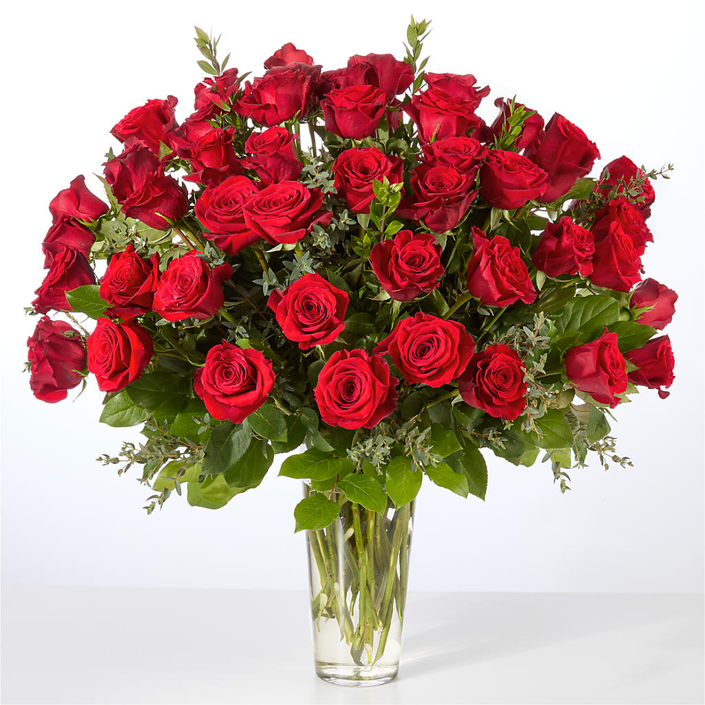 Forever Yours Fifty Stem Red Rose Bouquet –  My Dream Flowers, Bronx NY