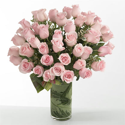 Pink Essence –  My Dream Flowers, Bronx NY