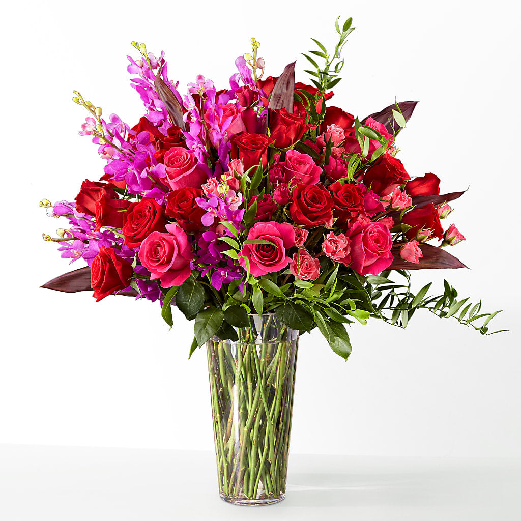 The Honeymoon –  My Dream Flowers, Bronx NY