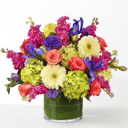 The Couture –  My Dream Flowers, Bronx NY